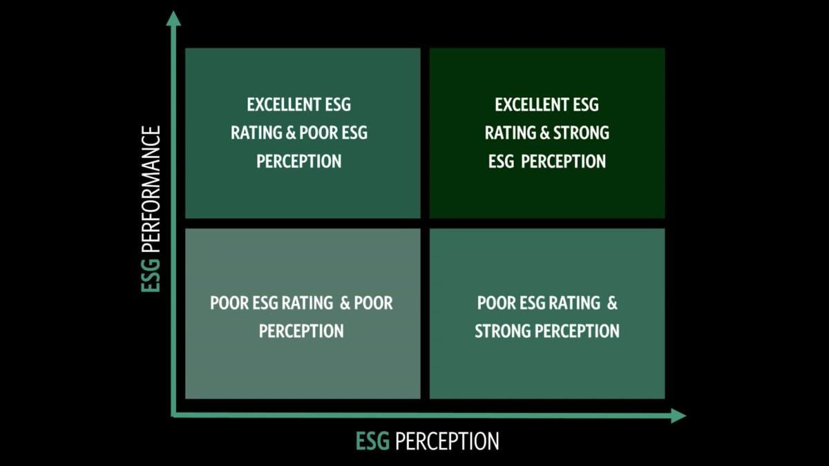 ESG PERCEPTION