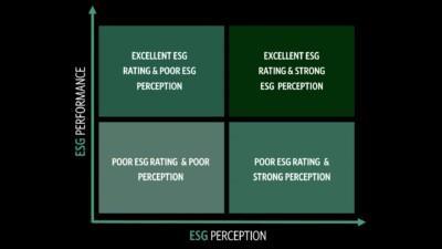 ESG PERCEPTION